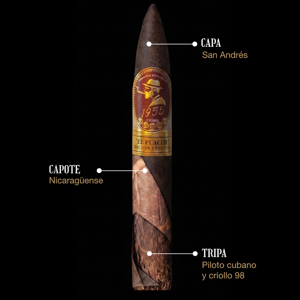 torpedo 51 2x54​ new